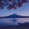Twilight Fuji Serenity logo