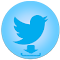 Twitter Gif & Video Downloader logo
