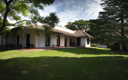 two lovely parrots screenshot 1