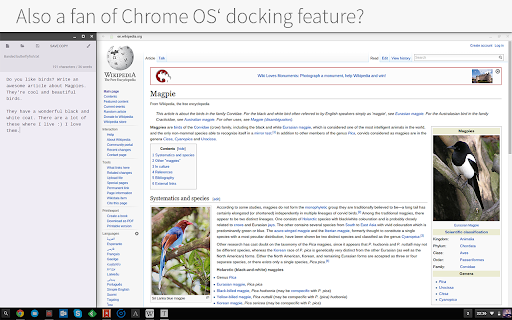 Type Case screenshot 1