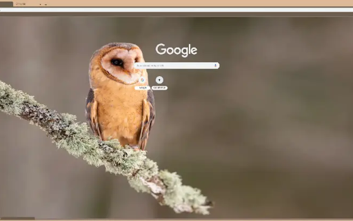 Tyto alba screenshot 1