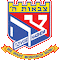 Tzivos Hashem logo