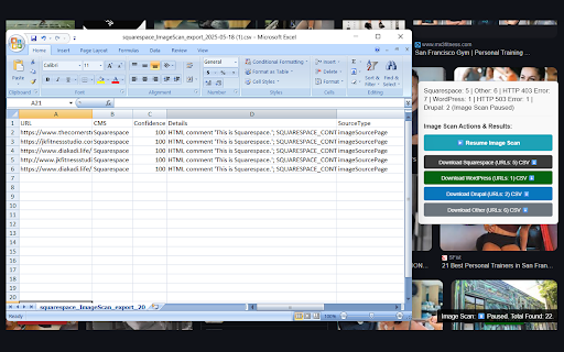 Ultimate CMS Detector for Search screenshot 1