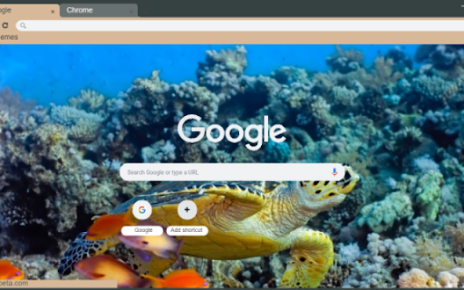 Underwater Sea Turtles screenshot 1