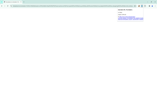 URL Decoder Extension screenshot 1