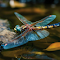 Vibrant Dragonfly Macro logo