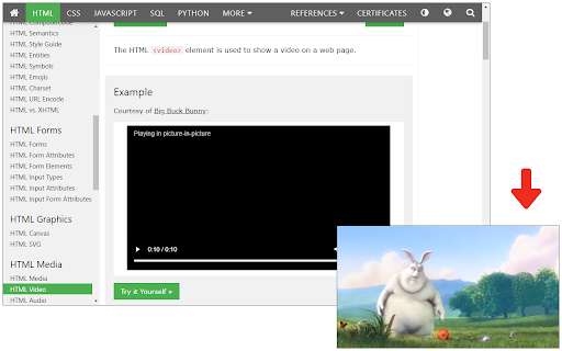 Video Control Extension screenshot 1