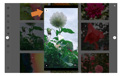 Video Downloader for IW screenshot 1