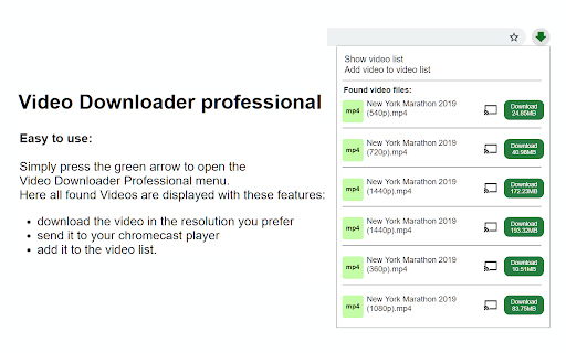 Video Downloader Professional screenshot 1