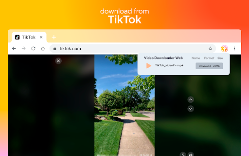 Video Downloader Web screenshot 1