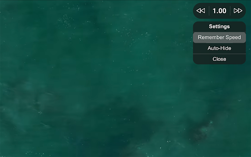 Video Speed Controller screenshot 1