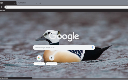 Vit bien screenshot 1