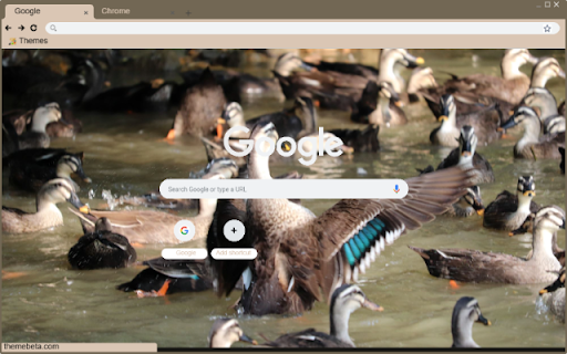 Vit troi screenshot 1