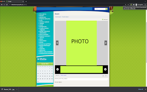 W Kasztanowym Parku Photo Downloader screenshot 1