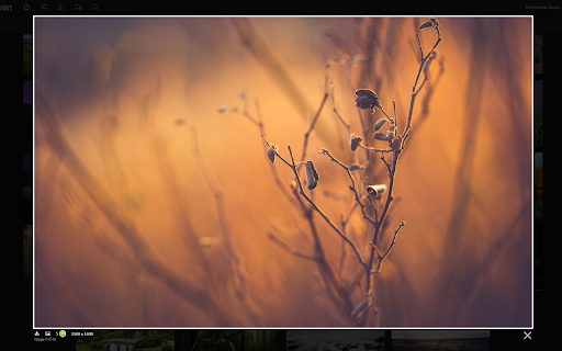 Wallhaven Extender screenshot 1