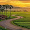 wallpaper Winding road in green fields sunset logo