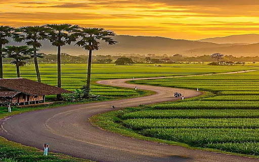 wallpaper Winding road in green fields sunset screenshot 1