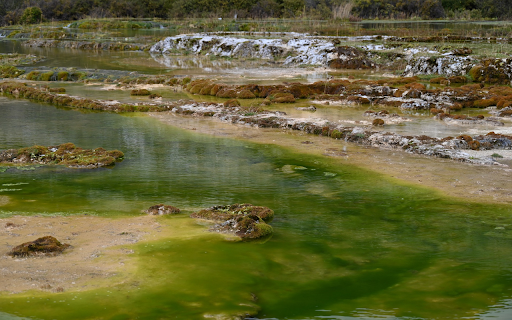 Water and green moss screenshot 1