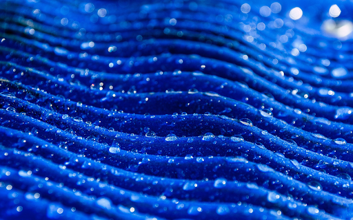 Water and green roof screenshot 1