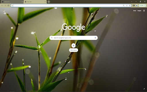 Water dew on the green grass Browser Theme screenshot 1