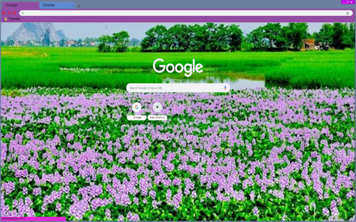 Water hyacinth in the countryside screenshot 1