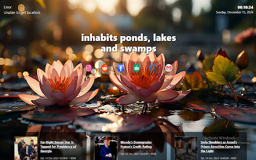 water lily screenshot 1