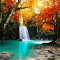 Waterfall Amid Radiant Autumn Forest logo