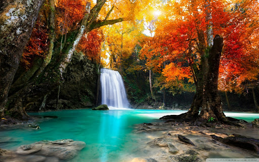 Waterfall Amid Radiant Autumn Forest screenshot 1