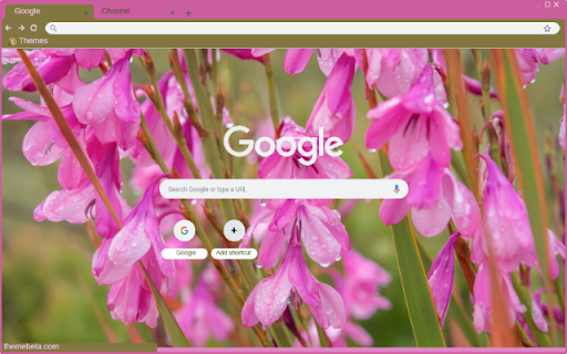 Watsonia screenshot 1