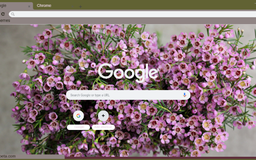 Waxflower screenshot 1