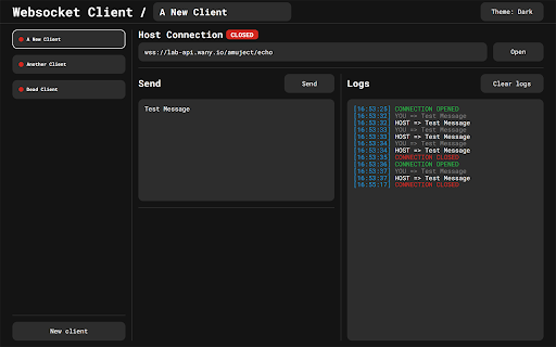 Websocket Client screenshot 1