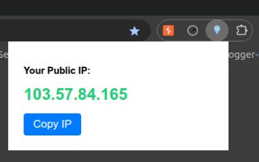 What's My IP screenshot 1