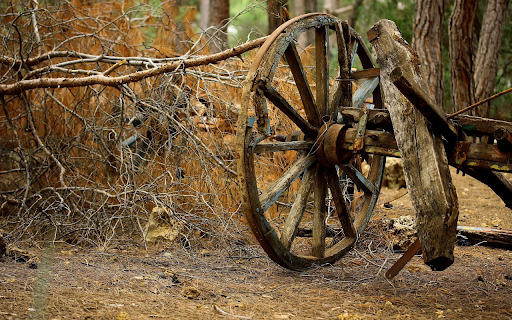 Wheel of time screenshot 1