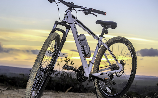 White bicycle screenshot 1