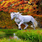 White horse wallpaper logo