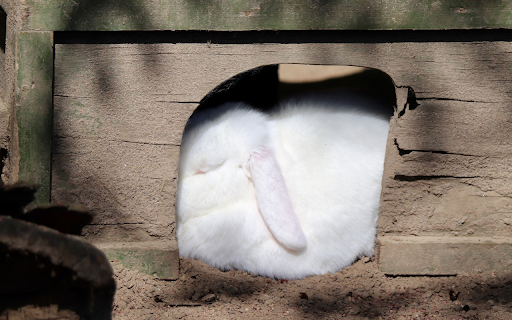 White Rabbit screenshot 1