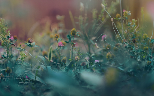 Wildflower garden screenshot 1