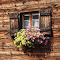 Windows Wooden Flowers logo