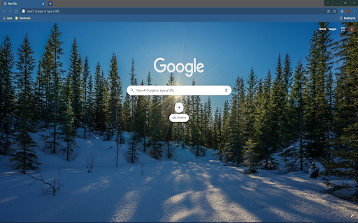 Winter Forest HD Wallpaper Theme screenshot 1