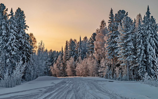 Winter Forest Road screenshot 1
