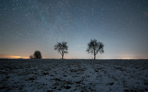 Winter Stars and Silent Trees screenshot 1