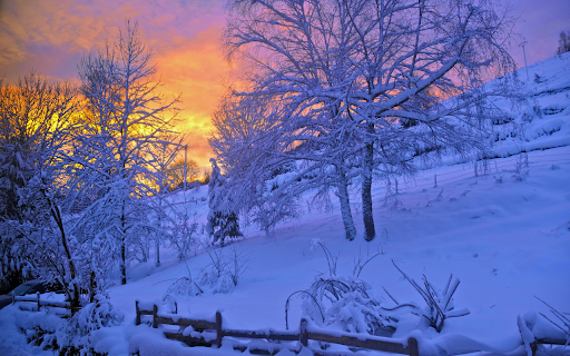 Winter Sunrise Glow screenshot 1