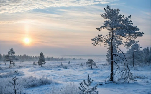 WINTER Theme screenshot 1