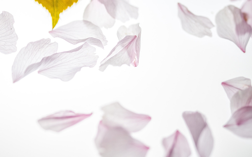 Withered petals screenshot 1