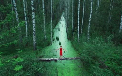 Woman in Red Dress Standing on a Log Bridge in a Forest screenshot 1