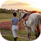 Woman leading two horses in sunset landscape logo