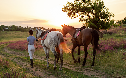 Woman leading two horses in sunset landscape screenshot 1