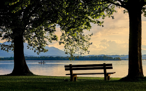Wooden chair under the tree screenshot 1