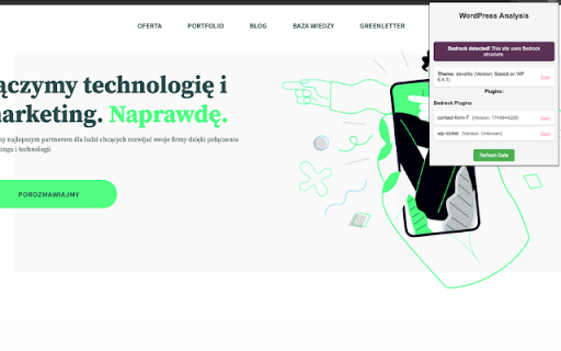 WordPress Theme & Plugin Detector screenshot 1