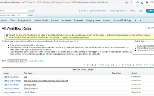 Workflow Email invalidator (Salesforce) screenshot 1